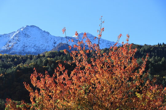 I colori autunnali delle Alpi Cozie in Piemonte con la prima neve sulle montagne