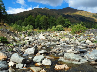 Beautiful nature of the Republic of Abkhazia. 