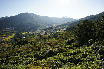 Obraz premium SONY DSC