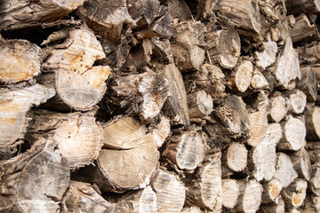 Wood