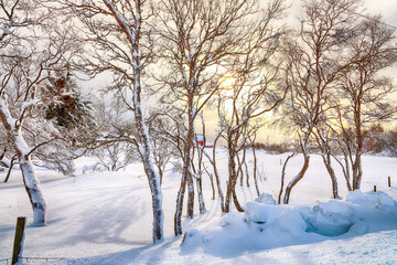 Splendid sunset winter scene at Valberg village on Lofoten Islands.