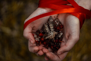 dried flowers in hands 