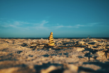 Fototapeta na wymiar Deko Objekt, Spirale aus Holz am Strand, Sonnenschein, Horizont und Wasser im Hintergrund