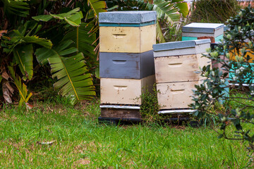 Beehives