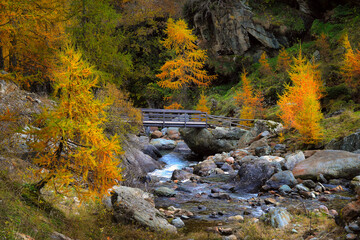 Stunning autumn alpine landscape with colorful redwood forest and beautiful yellow larches.