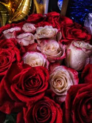 Розы, цветы, красные розы, капли, роса