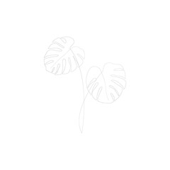 SINGLE-LINE DRAWING: MONSTERA BOTANICAL 2 . This hand-drawn, continuous, line illustration is part of a collection inspired by the drawings of Picasso. Each gesture sketch was created by hand.