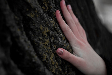 hand on a tree