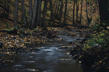 Obraz premium Bachlauf im Wald