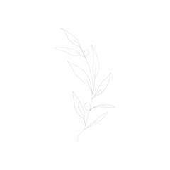 SINGLE-LINE DRAWING: 11 LEAVES, BOTANICAL 3 . This hand-drawn, continuous, line illustration is part of a collection inspired by the drawings of Picasso. Each gesture sketch was created by hand.
