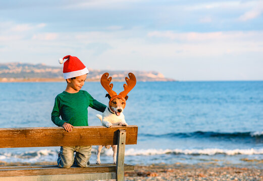 Boy in Santa Claus hat and dog in costume of Rudolph reindeer at winter beach in South Europe