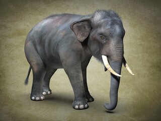 Obraz premium Big Asian elephant. 3D illustration