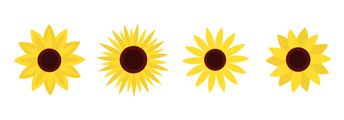 Sunflower set line. Four yellow sun flower icon. Cute round summer plant collection. Love card symbol. Growing concept. Closeup. Flat design. Isolated. White background.