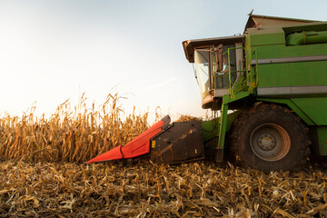 Combine harvester in evening action