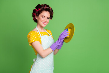 Profile side view portrait of her she nice attractive pretty cheerful cheery maid wearing curlers wiping washing plate cleanliness detergent after party isolated over green color background