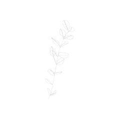 SINGLE-LINE DRAWING: Leaves, Branch, Botanical 15. This hand-drawn, continuous, line illustration is part of a collection inspired by the drawings of Picasso. Each gesture sketch was created by hand.