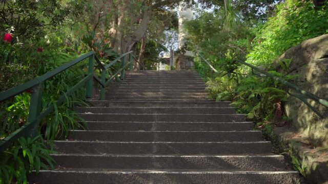 walking to uphill by long stair with nature