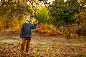 Trendy thoughtful boy wearing cardigan is holding tree branch at autumn park background.