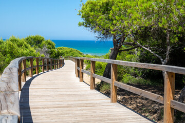 Broadwalk to a sand beach, trees, ocean and blue sky