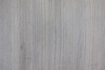 Maple background and texture. Close-up view of a wooden longitudinal cut