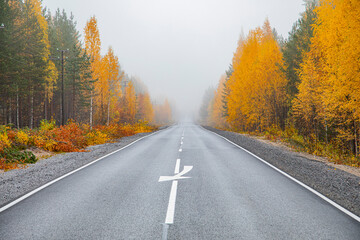 Asphalt road in the autumn foggy forest. Travels.