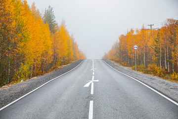 Asphalt road in the autumn foggy forest. Travels.