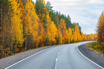 Asphalt road in the autumn forest. Travels.