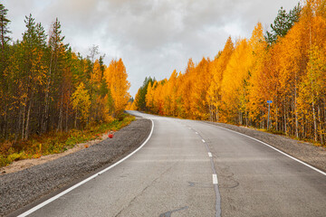 Asphalt road in the autumn forest. Travels.
