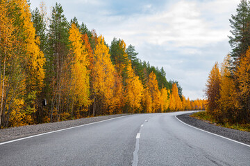 Asphalt road in the autumn forest. Travels.