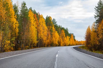 Fleecedeken met foto Herfst Asphalt road in the autumn forest. Travels.  © Ksenia