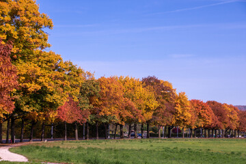Naklejka premium Bright foliage colors in Autumn, Riehen Switzerland