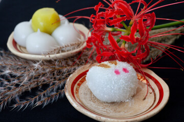 Rabbit mochi and pampas grass