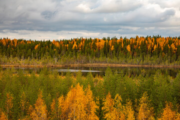 Colorful view of the autumn forest and a small lake.