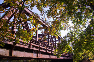 Bright foliage colors in Autumn, Riehen Switzerland
