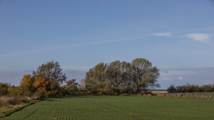 Autumn scenery in Malmö Skåne Sweden
