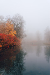 Autumn park in the fog. Colorful trees are reflected in the smooth surface of the lake.