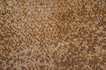 Rusty corrugated metal - dirty grungy textured background