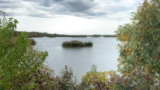 Wetlands in the natural reserve of Argenta, Italy near the Po river Comacchio Valleys under a moody autumal sky