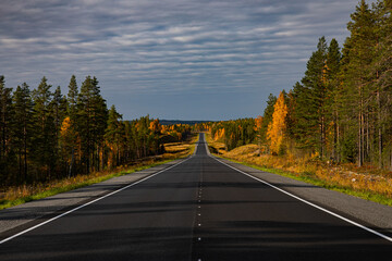 Fototapeta na wymiar Asphalt road in the autumn forest. Travels.