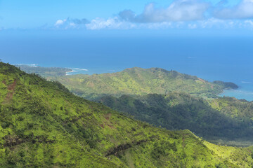 Fototapeta na wymiar One of the shores of Hawaii, covered in greenery.