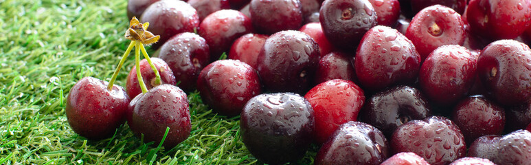 red fresh cherries on green grass, close view © V44images