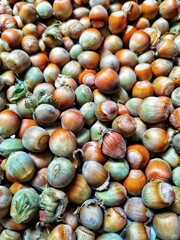 close up of a bunch of chestnuts