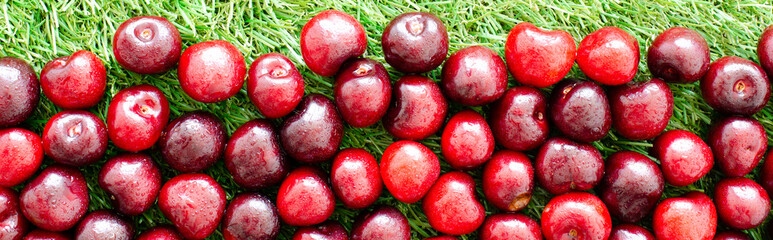 red fresh cherries on green grass, close view