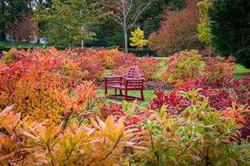 Garden seat beside colourful autumn bushes