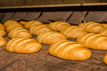 Bakery production - bread loaf on assembly line - food production photo