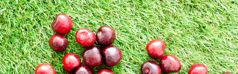 red fresh cherries on green grass, close view