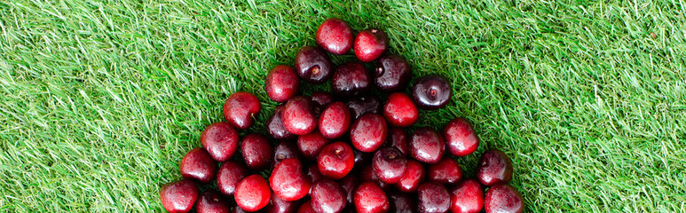 red fresh cherries on green grass, close view