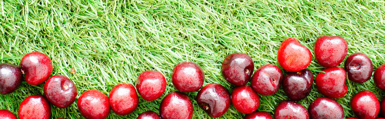 red fresh cherries on green grass, close view
