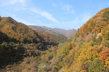 autumn in the mountains