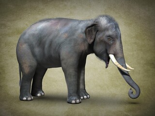 Fototapeta na wymiar Big Asian elephant. 3D illustration